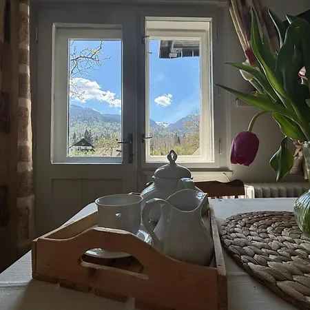 House Skantar Bohinj 博希尼