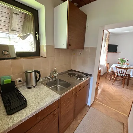 House Skantar Bohinj 아파트