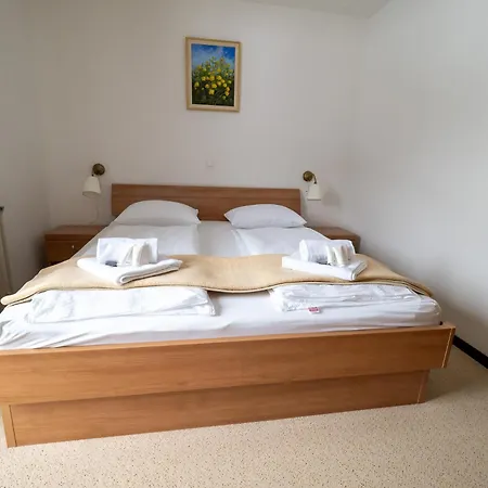 House Skantar Bohinj 博希尼