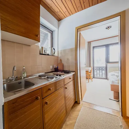 House Skantar Bohinj 博希尼