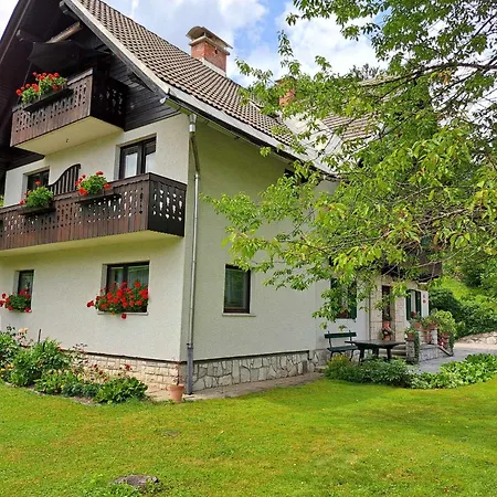 House Skantar Bohinj *